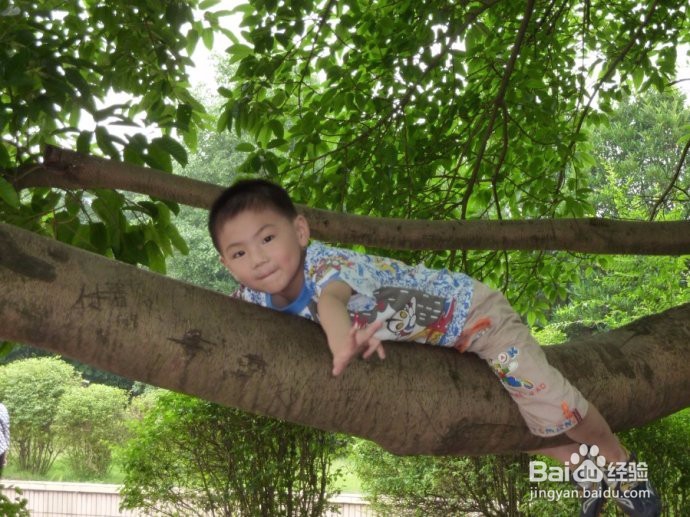 小孩十岁前应该做些什么事情