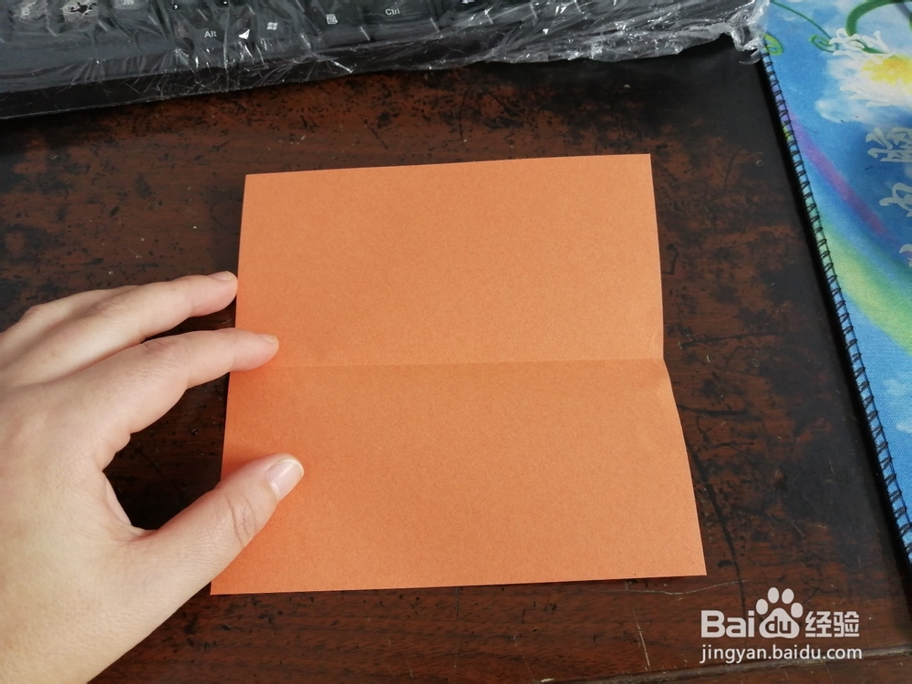 儿童折纸之抽象派的猫头鹰怎么折