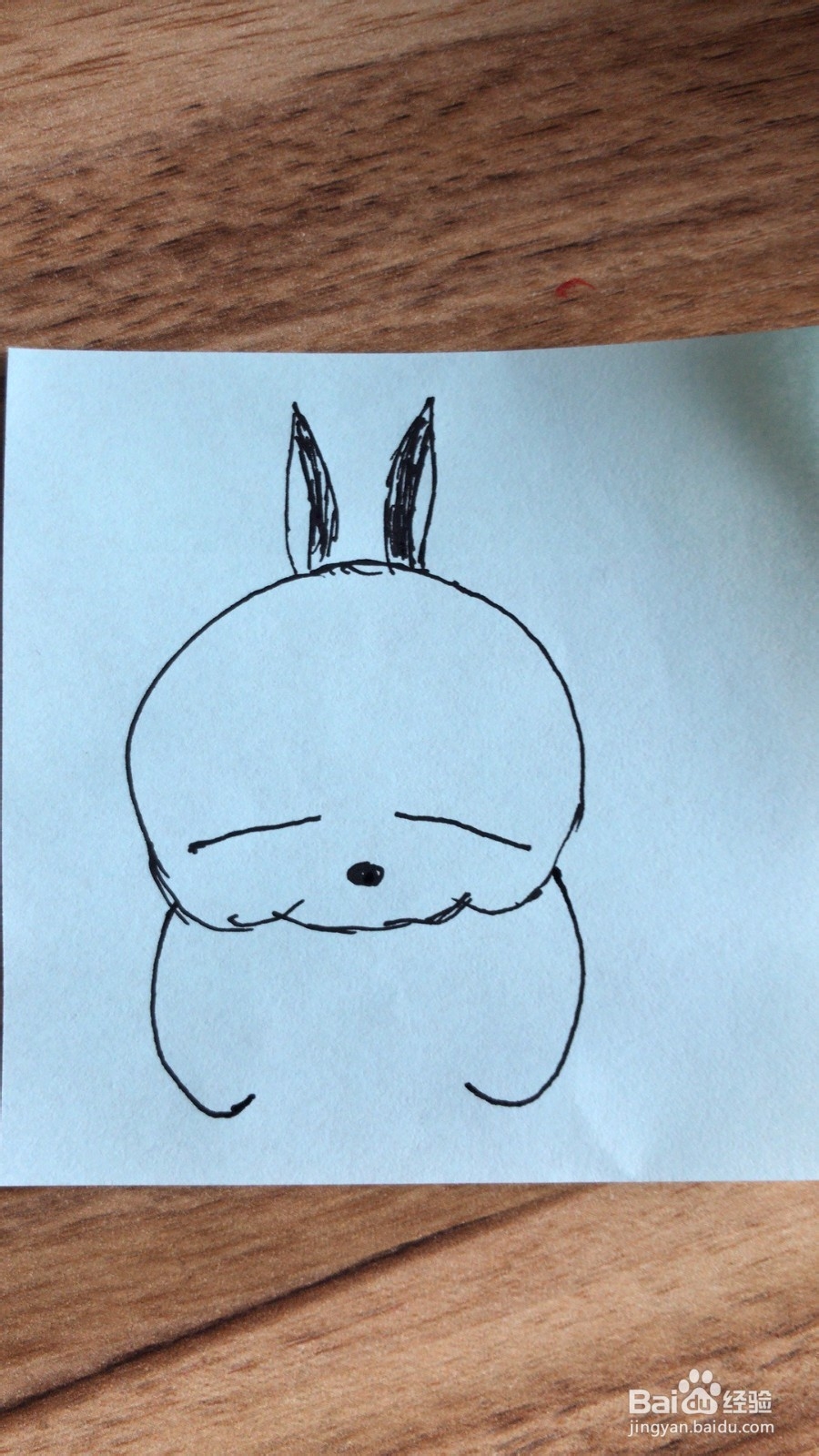 简笔画之流氓兔的画法