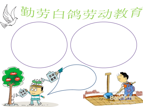 勤劳白鸽劳动教育手抄报