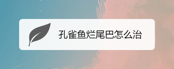 孔雀鱼烂尾巴怎么治