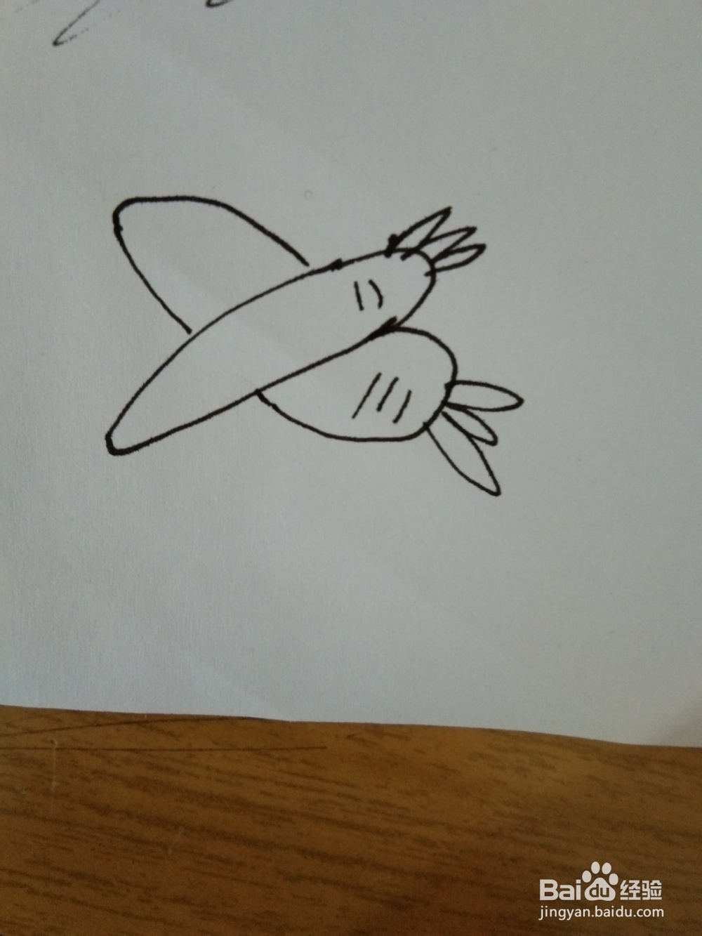 如何用数字3画两个白萝卜