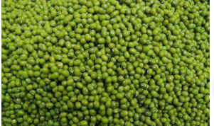 绿豆营养价值体现在哪里