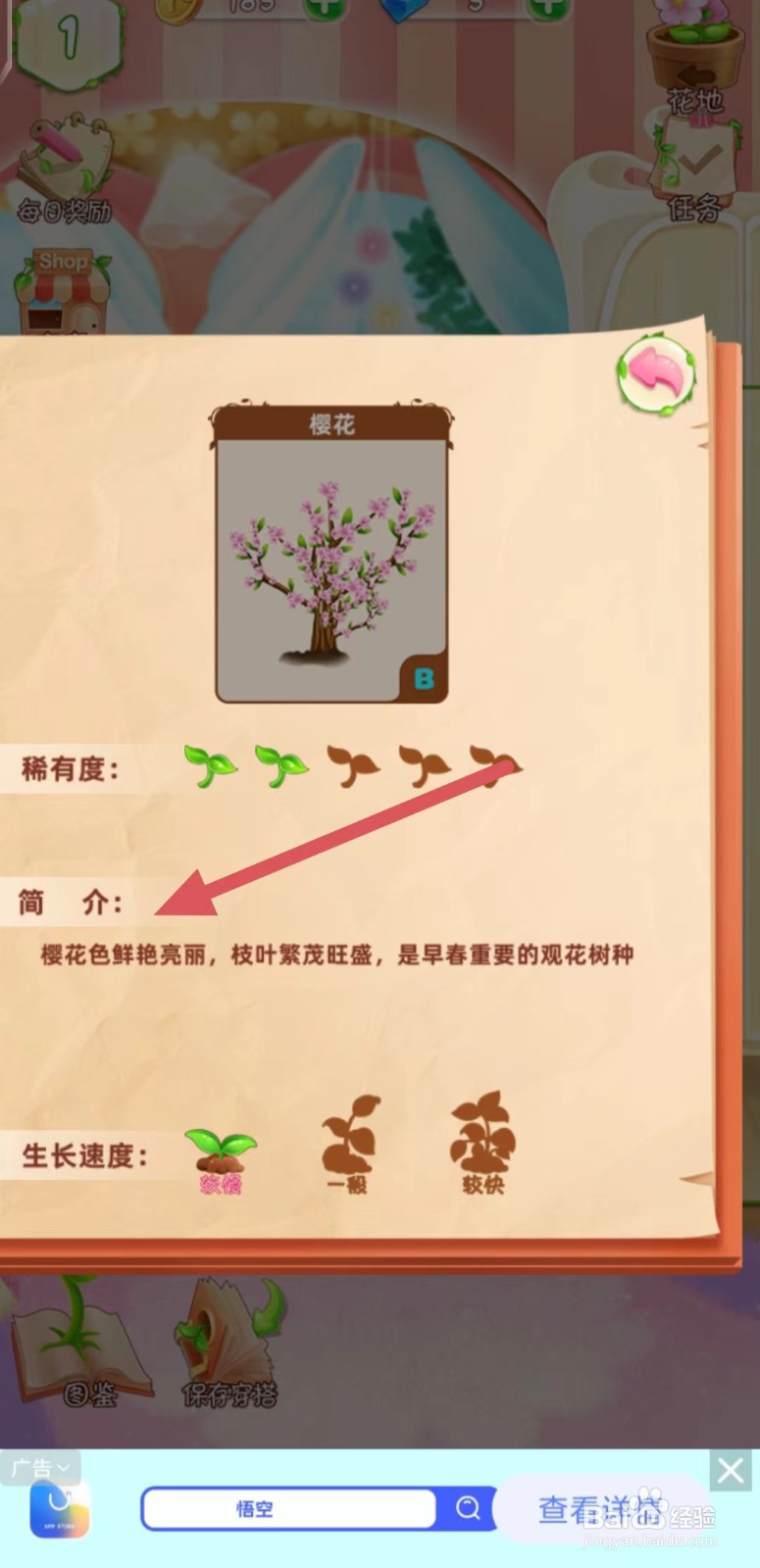 花花姑娘之魔法花园怎么查看樱花的简介