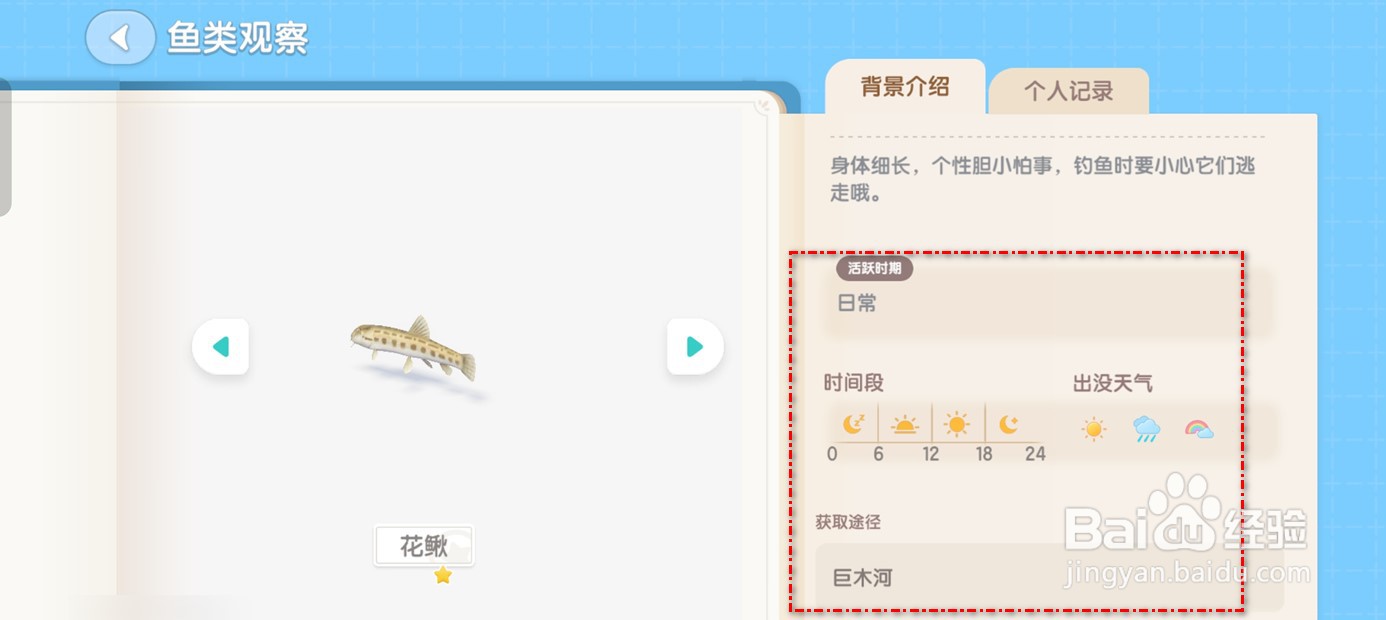 心动小镇在哪里可钓花鳅鱼