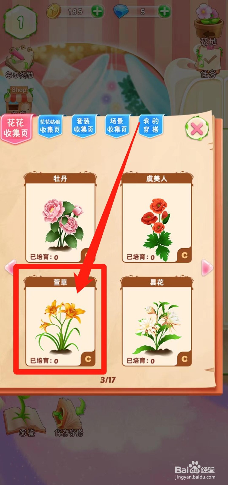花花姑娘之魔法花园如何查看萱草简介