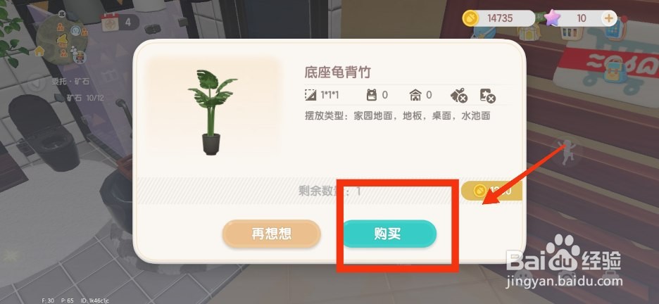 心动小镇如何获得底座龟背竹