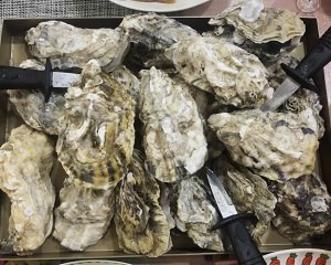 蒸生蚝简单好吃