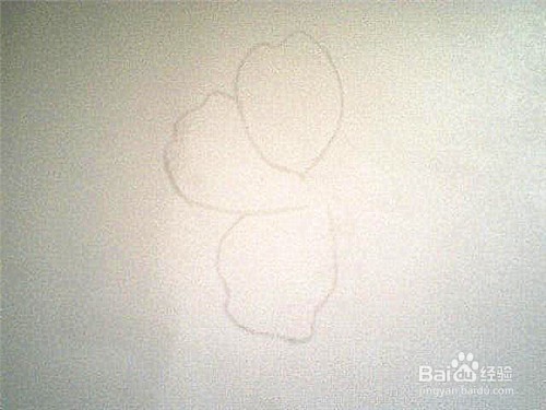 简笔画杜鹃花这样画
