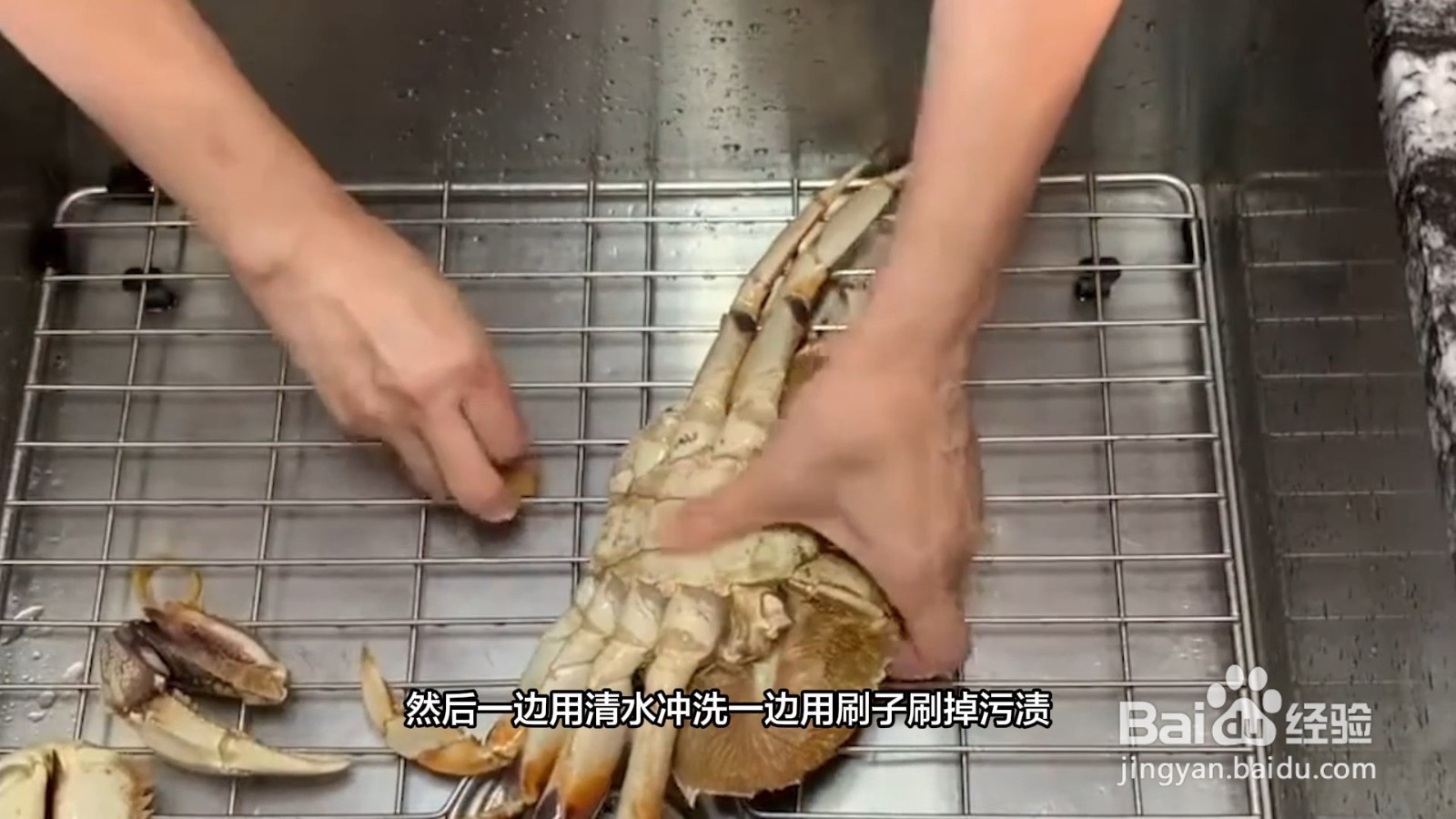 怎样洗螃蟹又快又干净