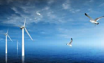 在大会召开期间怎么结合个人打工仔价值怎实现？