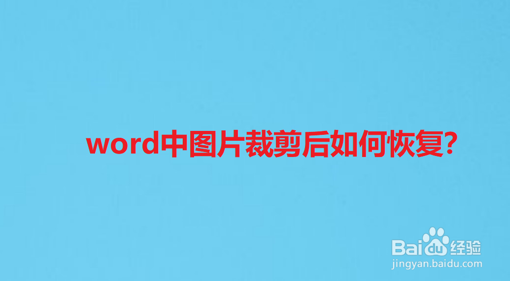 word中图片裁剪后如何恢复?