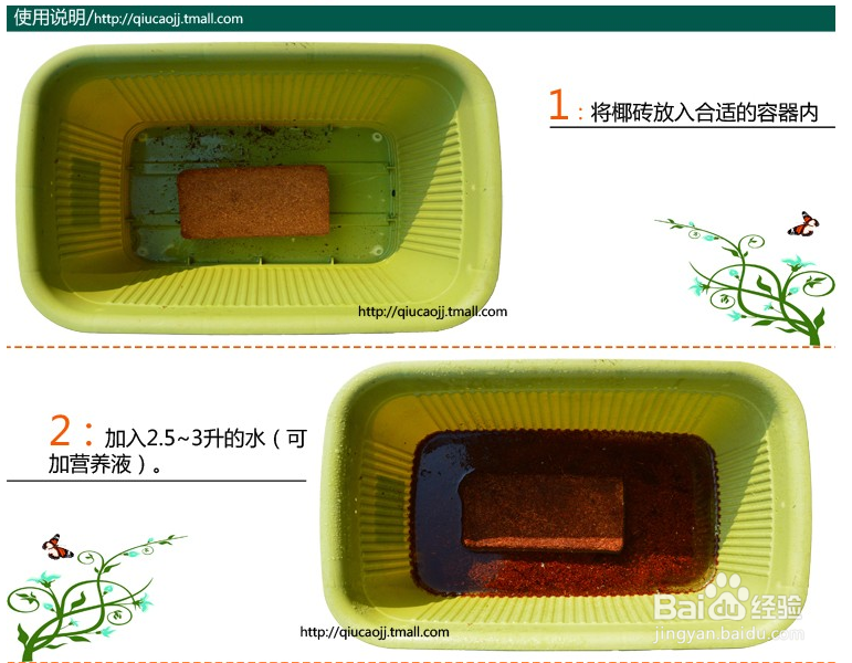 椰砖怎么种草莓