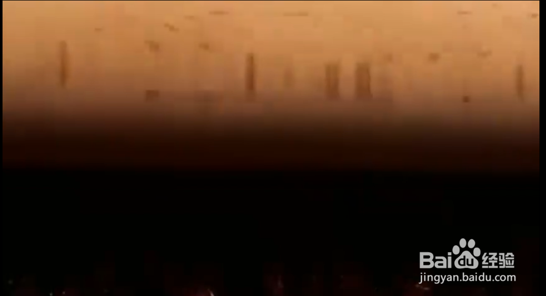 如何在家轻松种出水果