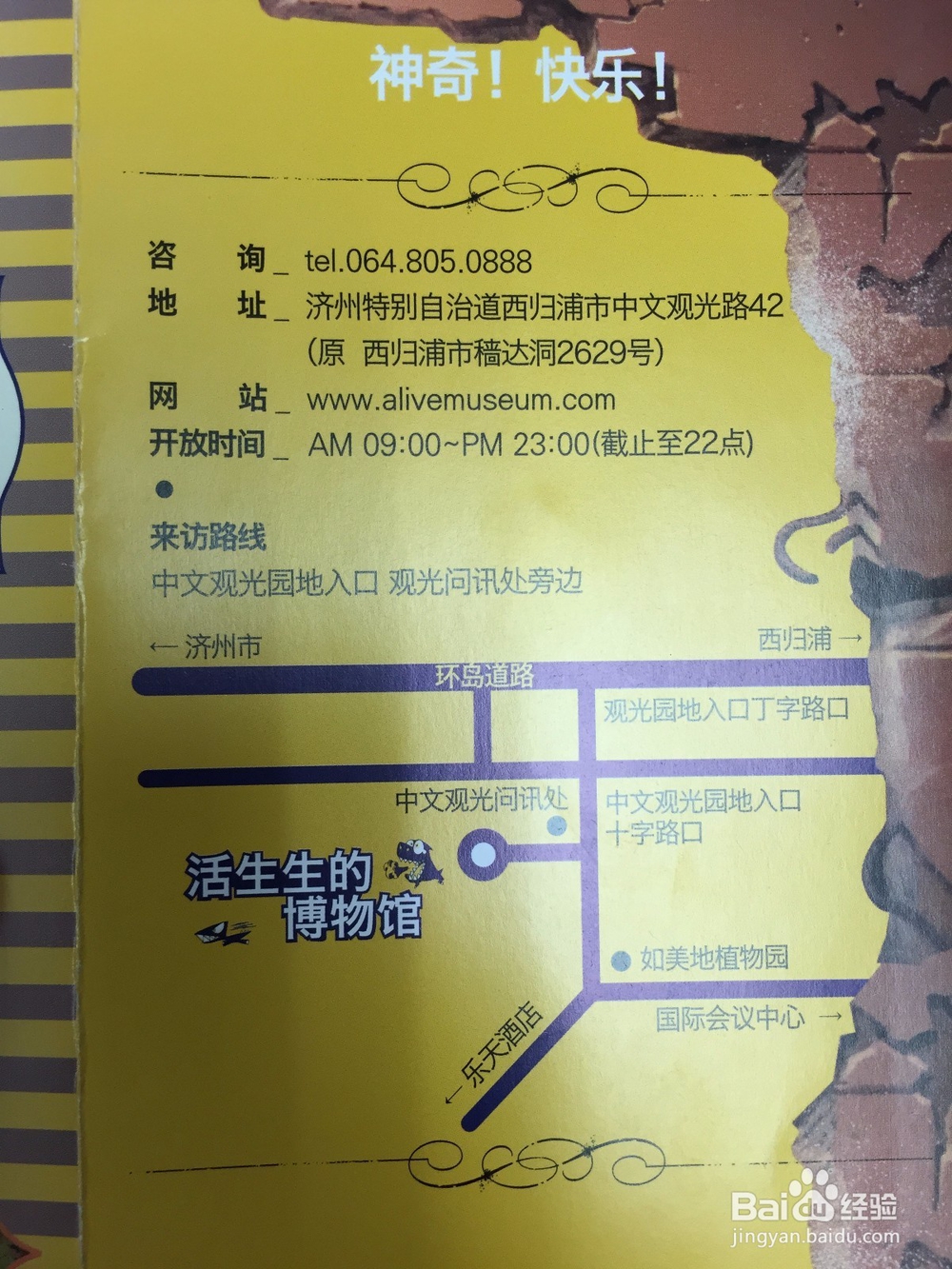 治愈系济州岛—你不可错过的美食美景