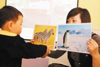 怎样教宝宝识事物