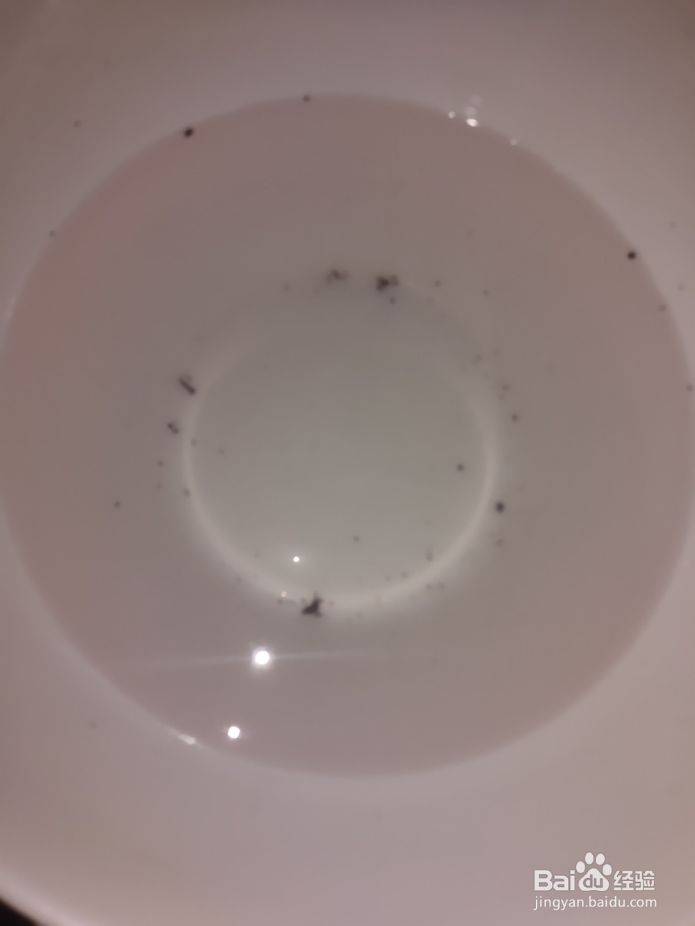 杨梅怎么清洗才能去除里面的虫子