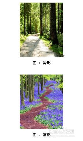 Word2013如何给图片自动编号