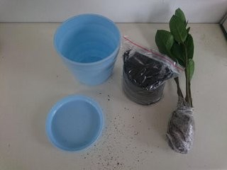 怎么判断盆土是否缺水
