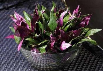 红凤菜的食用方法