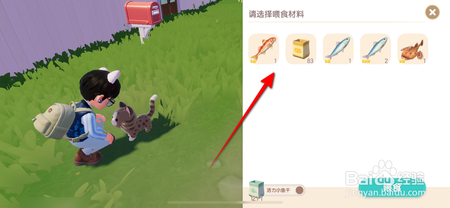 心动小镇怎么喂猫咪