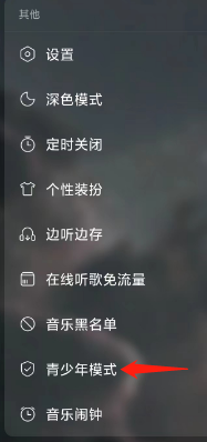 查看网易云音乐App的青少年模式