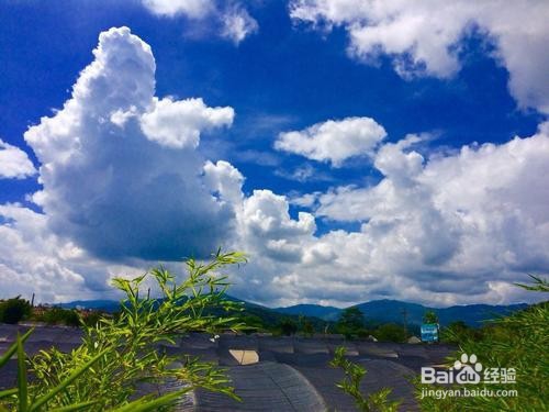 贵州茂兰旅游攻略