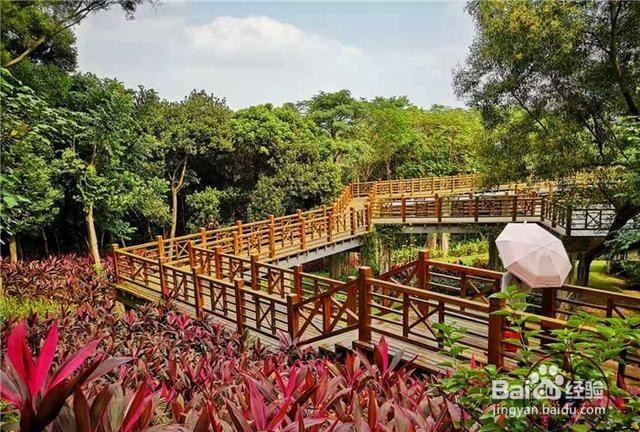 深圳宝安新安花田好玩吗