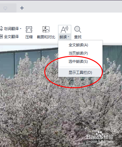 WPS PDF怎样调整朗读功能的语调