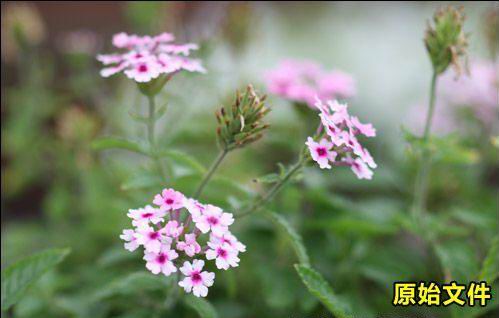 高画质法宝相机RAW格式使用技巧详解