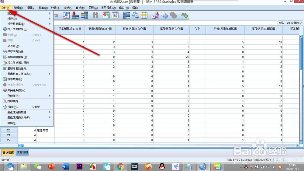 如何打开SPSS中的脚本命令？