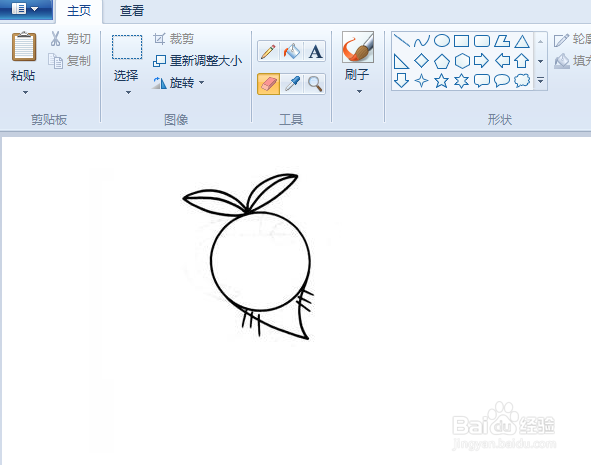 用电脑画白萝卜简笔画