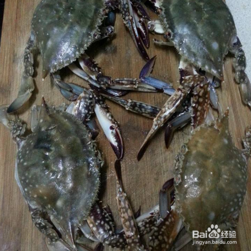 保存螃蟹的方法