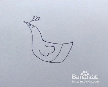 孔雀画法教程（2）怎么画孔雀，如何画孔雀？