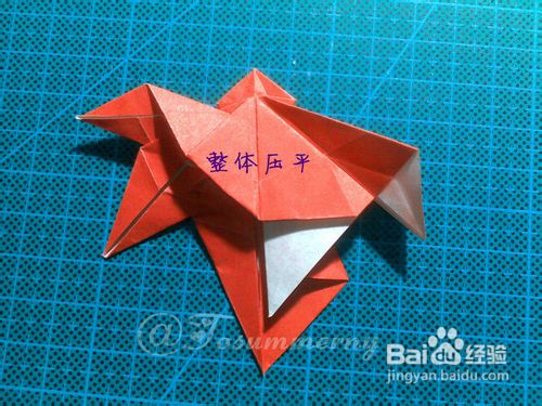 【天の折馆】枫叶折纸实拍教程(下篇)