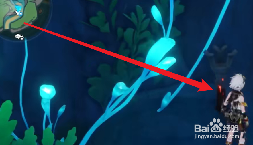 枫丹安眠处隐藏宝箱攻略