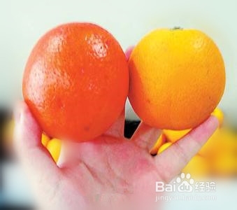 如何挑选、购买水果蔬菜和香辛料？