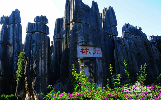 穷游怎么样。