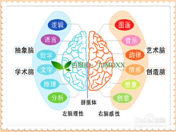 如何慢慢矫正左撇子