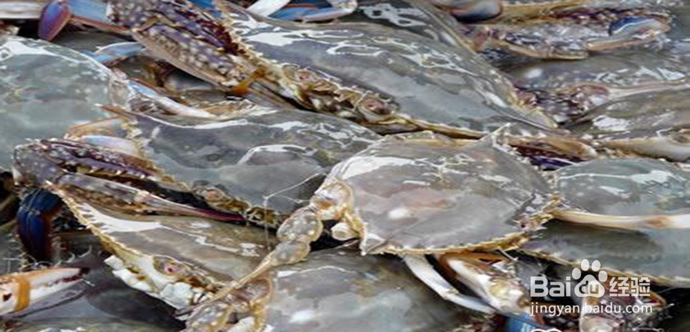 过年啦！吃螃蟹要注意哪些禁忌和怎样选购。