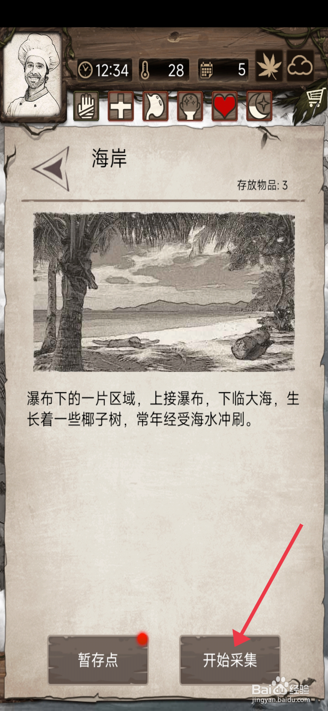 荒岛日记孤岛在海岸采集攻略