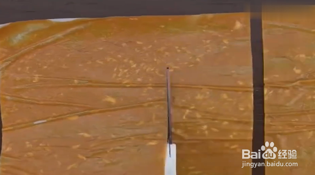 如何制作芒果干