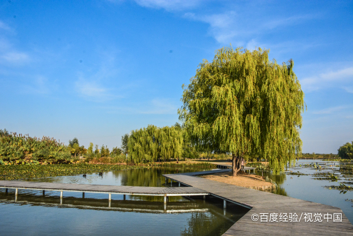 即墨鹤山有什么好玩的景点