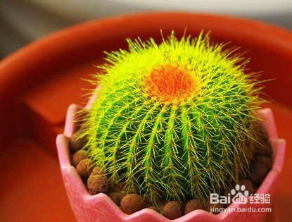 女性怎么防电脑辐射