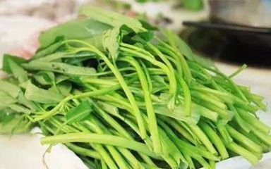 吃空心菜的好处与注意事项