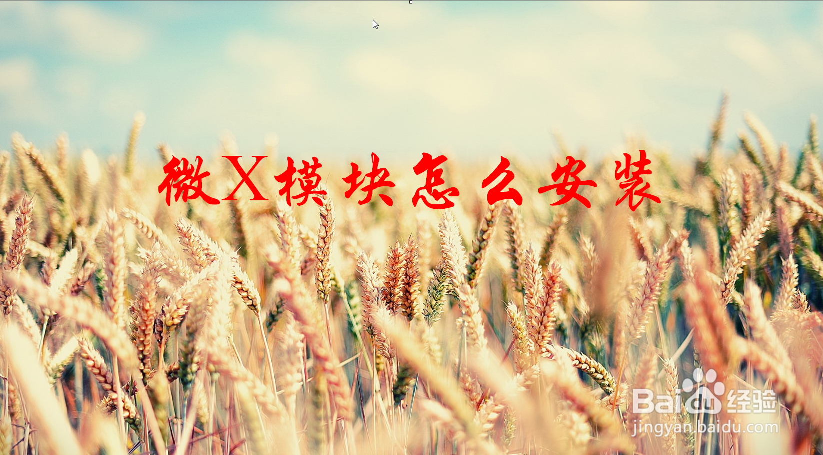 怎么检查微信僵尸粉