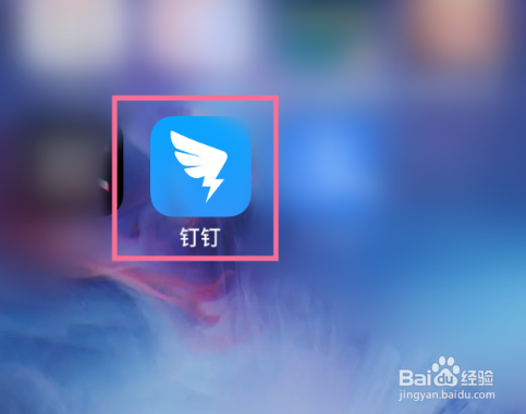 钉钉怎么举报非法内容