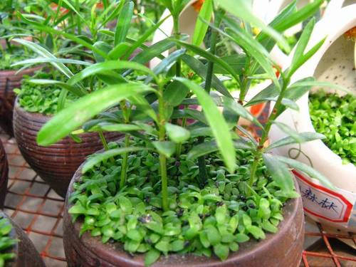 玩转北京北海全攻略