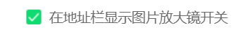 360安全浏览器怎么关闭地址栏图片放大镜开关