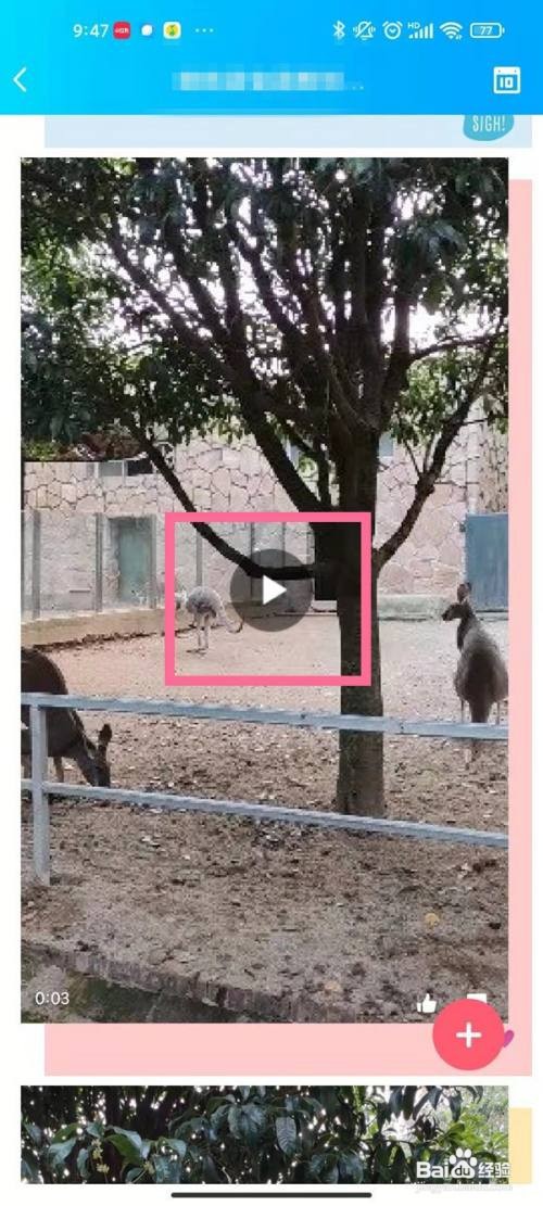 qq相册视频如何保存至手机